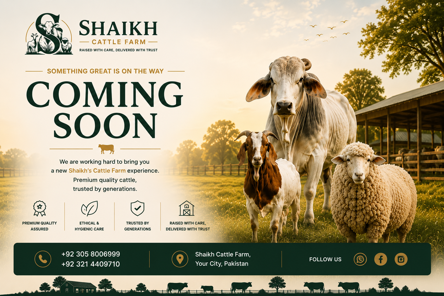 Shaikh Cattle Farm Coming Soon